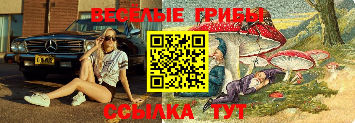 Нижневартовск  Псилоцибиновые грибы Psilocybe  Вход с VPN  Галлюциногенные грибы Psilocybe 